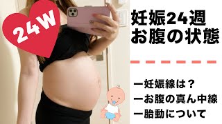 妊娠24週　7ヶ月のお腹の様子　正中線が目立ち始めました！