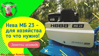 Мотоблок Нева МБ 23 - для хозяйства то что нужно 22.08.2019