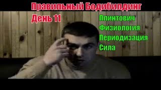 Периодизация. Физиология. Мышечный рост. Сила. О системе Плинтовича. Правильный Бодибилдинг 11.
