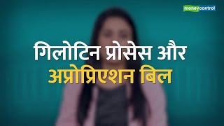 Budget 2020: क्या है GuillotineProcess ?