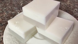 Easy Asian Coconut Jello Recipe [Updated Video]