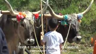 aria del Pollino all'organetto