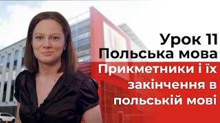 Польский язык - Урок 11 - Прилагательные и их окончания в польском языке