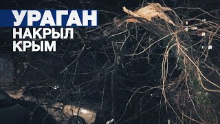 Поваленные деревья и отключение электроэнергии: на Крым обрушился ураган