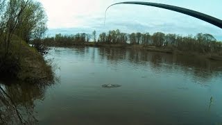 Ловлю карася на поплавочную удочку - MF №60 / Crucian fishing