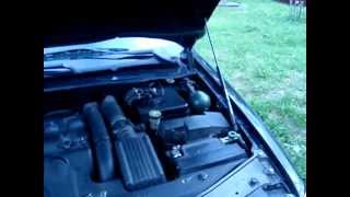 Citroen Xantia газовая стойка капота