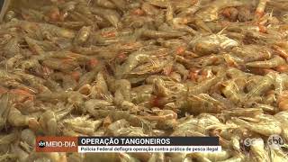 Operação Tangoneiros: Polícia Federal deflagra operação contra prática de pesca ilegal