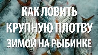 ЛОВЛЯ КРУПНОЙ ПЛОТВЫ ЗИМОЙ на МОРМЫШКУ. ЗИМНЯЯ РЫБАЛКА со ЛЬДА на РЫБИНКЕ