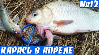 КАРАСЬ НА ПРОБКУ (ловля карася весной на донку)