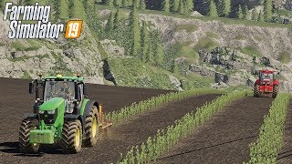 Posadziłem topolę energetyczną.  #59 Felsbrunn ☆ Farming Simulator 19 ☆ ㋡ Anton