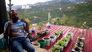 Farm Life İş Ortaklığı Programı