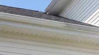 Gutter Whitening Demo