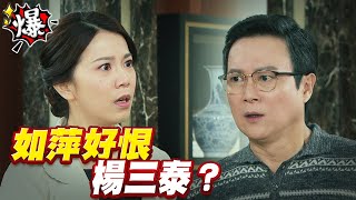 《多情大爆爆》多情城市 EP187 如萍好恨 楊三泰？