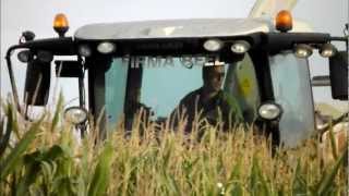 Spectaculaire ensilage à 20 rangs by ETA DEHANT !