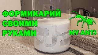 Муравьиная ферма своими руками