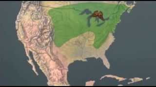 Monarch Butterfly Migration: From Mexico to Canada and Back