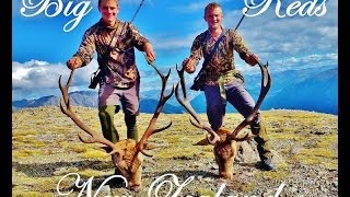 New Zealand, Public land, Red stag roar hunt - 12 and 14 pointer WATCH IN HD!