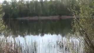 Одиночный поход с ночевкой в лесу, впервый раз. 1 часть