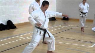 Kagawa-sensei shows hipvibration in kata gojushiho-sho