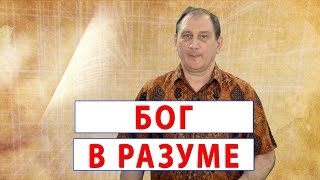 Бог в разуме. Слово вовремя с Сергеем Ободенко. #14