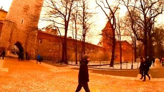 Доктор в Польше 81 # Как бесплатно попасть на экскурсии по Кракову