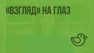 «Взгляд» на глаз. Видеоурок по окружающему миру 4  класс