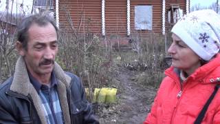 Поздняя посадка деревьев. Прикопать или посадить? Сайт "Садовый мир"