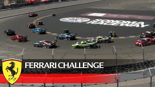 Ferrari Challenge North America – Sonoma 2021, Coppa Shell Race 2