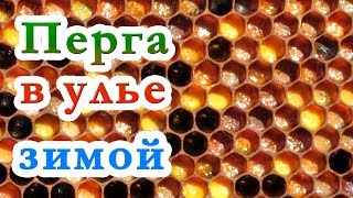 ПЕРГА В УЛЬЯХ НА ЗИМУ. ОСТАВЛЯТЬ ЛИ ПЕРГУ В ЗИМУЮЩЕМ УЛЬЕ ?