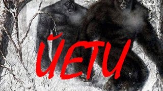Страшные истории из жизни: Йети