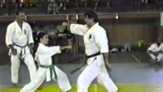 Семинар по Каратэ Фудокан в Румынии 1992 год - 2 часть
