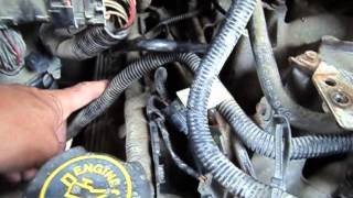 1998 5.4L V8 F-150 PCV Line Vacuum Leak - Also, need some T-Bird Parts