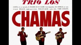 Rosa de amor - Americo Ceccarelli - Los Chamas
