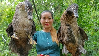 Duck Recipes - Roasted Tasty Ducks Recipe Eating Delicious For Dinner