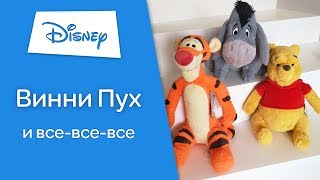 ⭐Герои из мультфильма Винни Пух ⭐ Детальный обзор игрушек ♥Toyexpress.com.ua♥