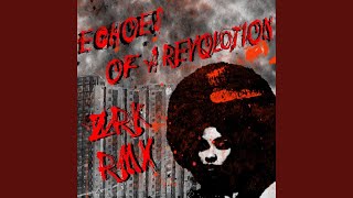 Echoes of a Revolution (ZRK Remix)