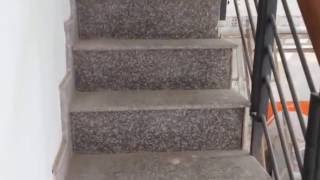 Nhà Bán Đường Nguyễn Cửu Phú Quận Bình Tân