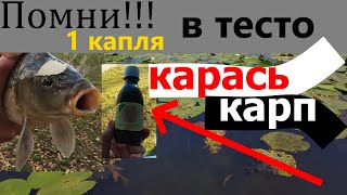 Добавил это.КАРАСИ в ШОКЕ.Сильнейший Ароматизатор на карася.Наживка на карася.Карась насадка.