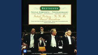 Triple Concerto for Violin, Cello and Piano in C Major, Op. 56: I. Allegro