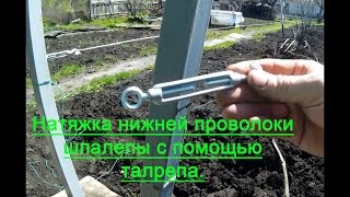 Двухплоскостная шпалера. Натяжка нижней проволоки.