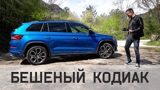 Skoda Kodiaq RS 2019 Тест Драйв САМЫЙ БЫСТРЫЙ КодиаК