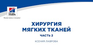 Вебинар Hill's Хирургия мягких тканей (продолжение)