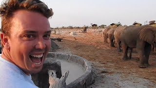 African Safari 2015
