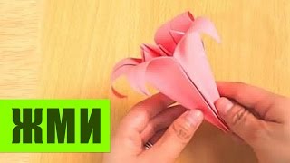 ЛИЛИЯ ИЗ БУМАГИ СВОИМИ РУКАМИ. КАК СДЕЛАТЬ ЛИЛИЮ ИЗ БУМАГИ
