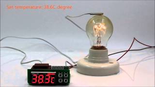 Willhi High accuracy PID temperature controller WH9137 updated from WH9037 for eggs incubator