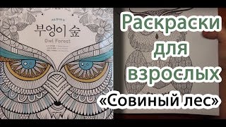 Арт-терапия. Раскраски для взрослых. "Совиный лес"