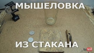 ✅Простая мышеловка из стакана