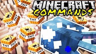 NUKE & BESTER COMMAND EVER! | Minecraft Commands #11 | ConCrafter