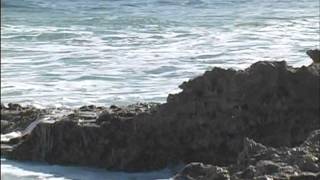 COZUMEL MÉXICO, una muestra del porque es hermosa la isla.