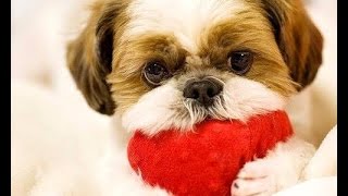 ♥Идеи для видео:Мой супер блокнот / Надежда Попова